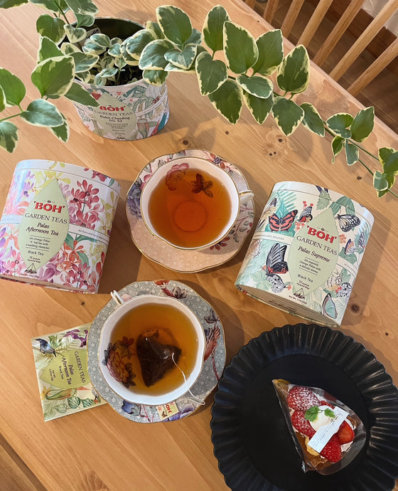 【BOH Tea Malaysia 訪問２】