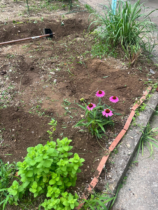 【🌿 My 植えさがし Farm 🌿】